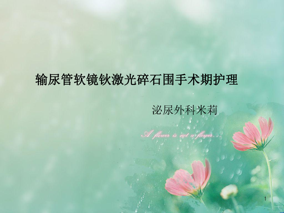 输尿管软镜钬激光碎石围手术期护理PPT课件_第1页