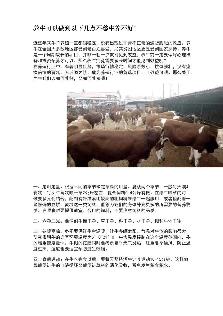 养牛可以做到以下几点不愁牛养不好_第1页