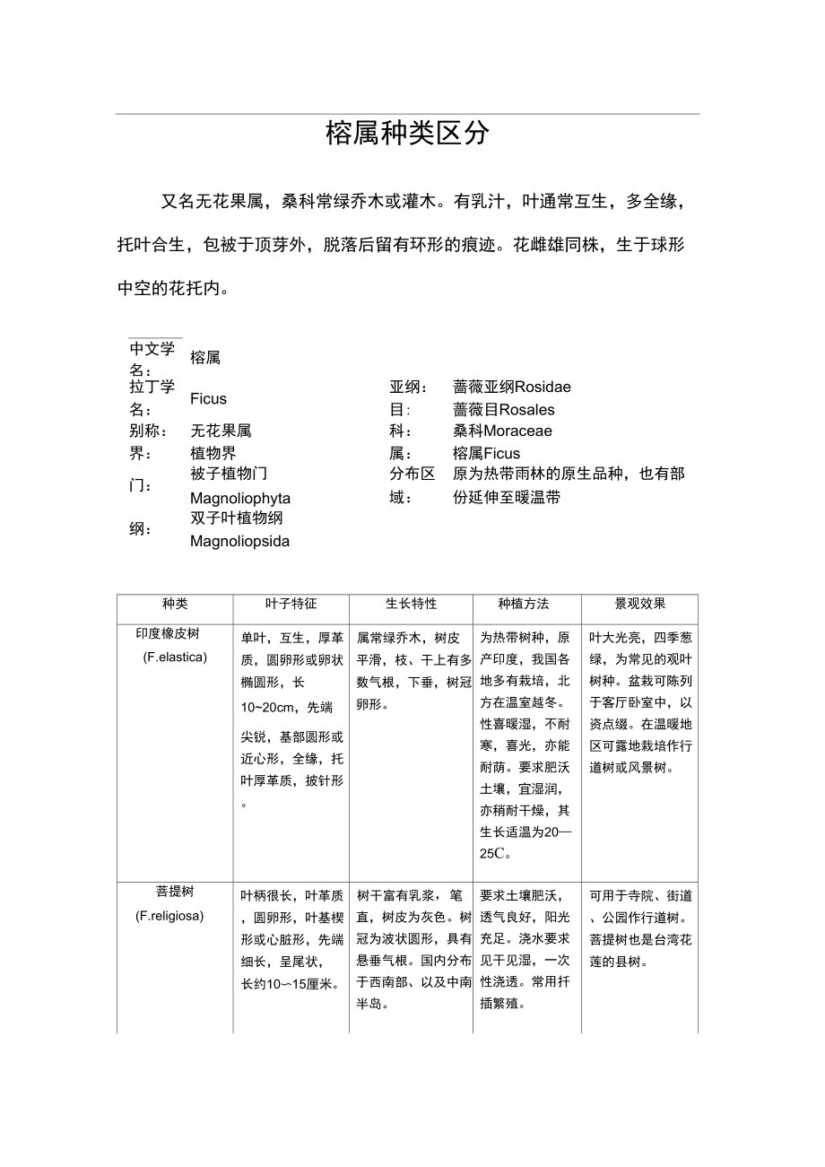 榕属种类区分_第1页