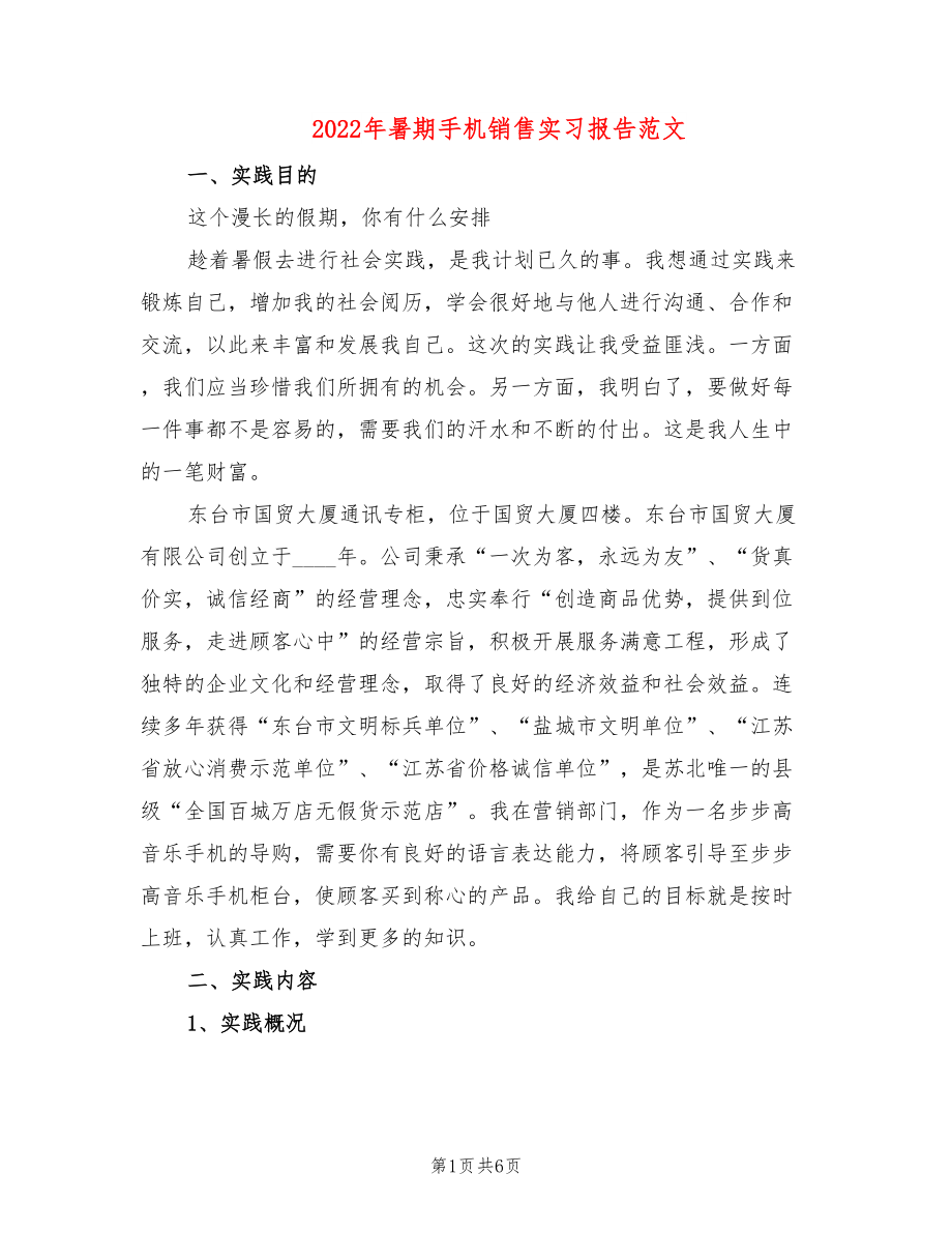 2022年暑期手机销售实习报告范文_第1页