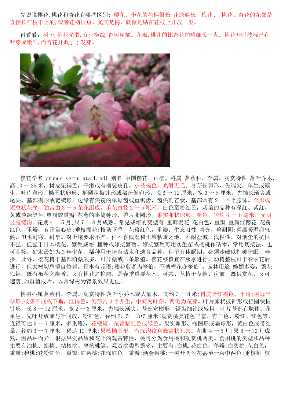 樱、桃、杏、李、梅区别_第1页