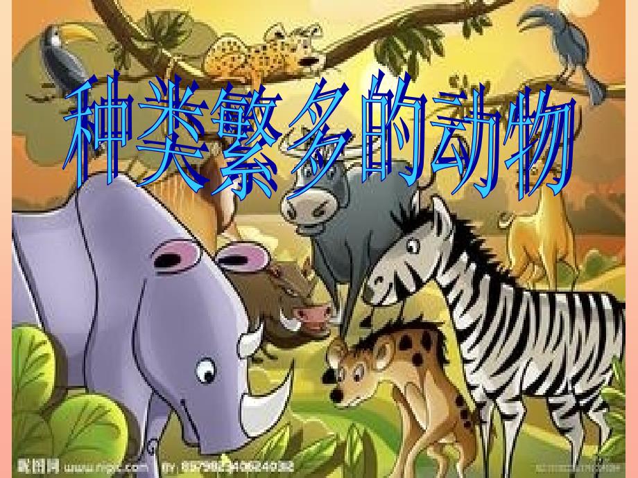 六年级科学上册第4课种类繁多的动物课件2冀教版_第1页