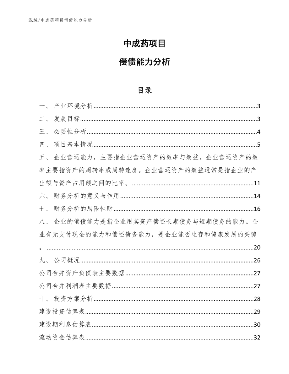 中成药项目偿债能力分析_参考_第1页