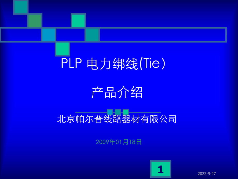 电力绑线Tie产品介绍课件_第1页