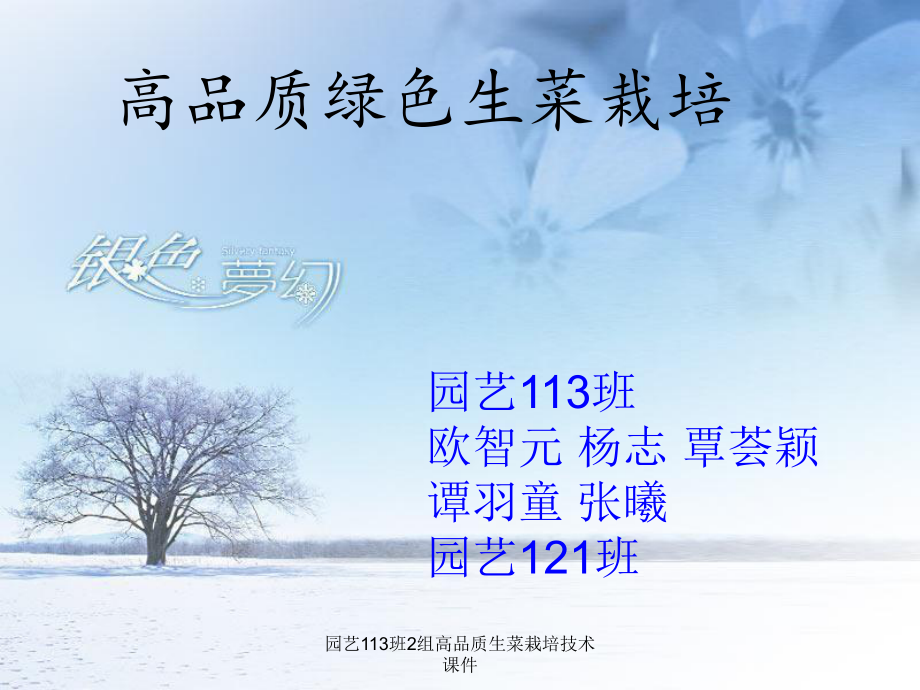 园艺113班2组高品质生菜栽培技术课件_第1页