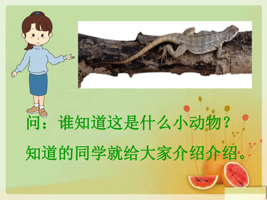 部编版一年级语文下册小壁虎借尾巴1PPT幻灯片_第1页