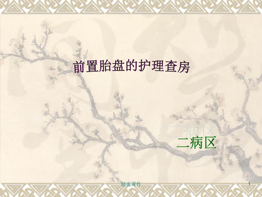 前置胎盘护理查房课件_第1页