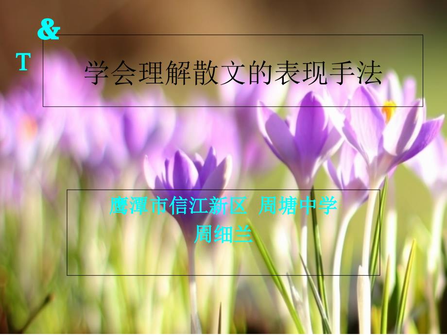 学会理解散文的表现手法_第1页