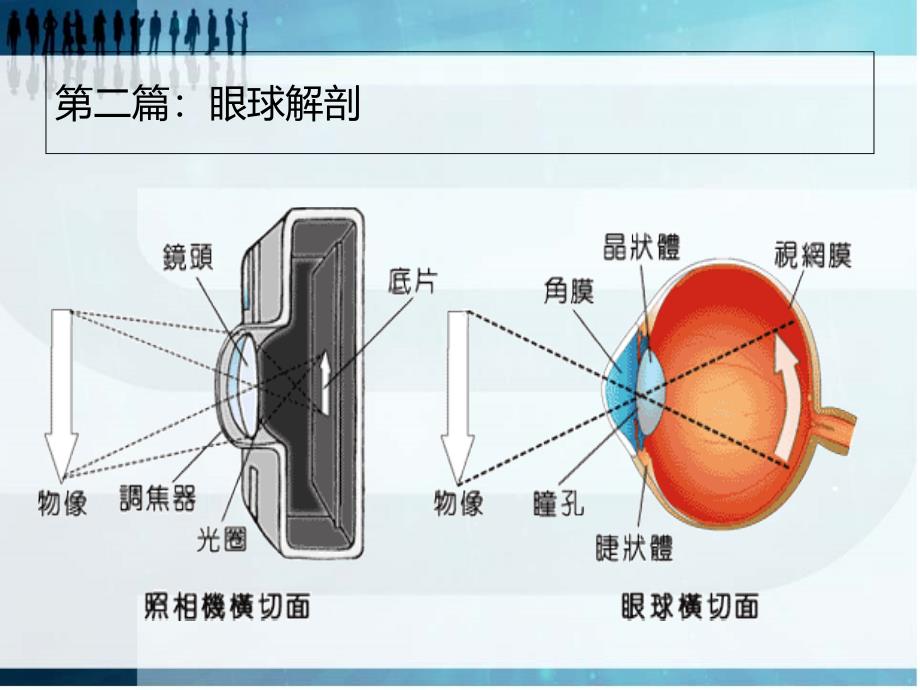 孔佑伟.眼科学基础知识课件_第3页