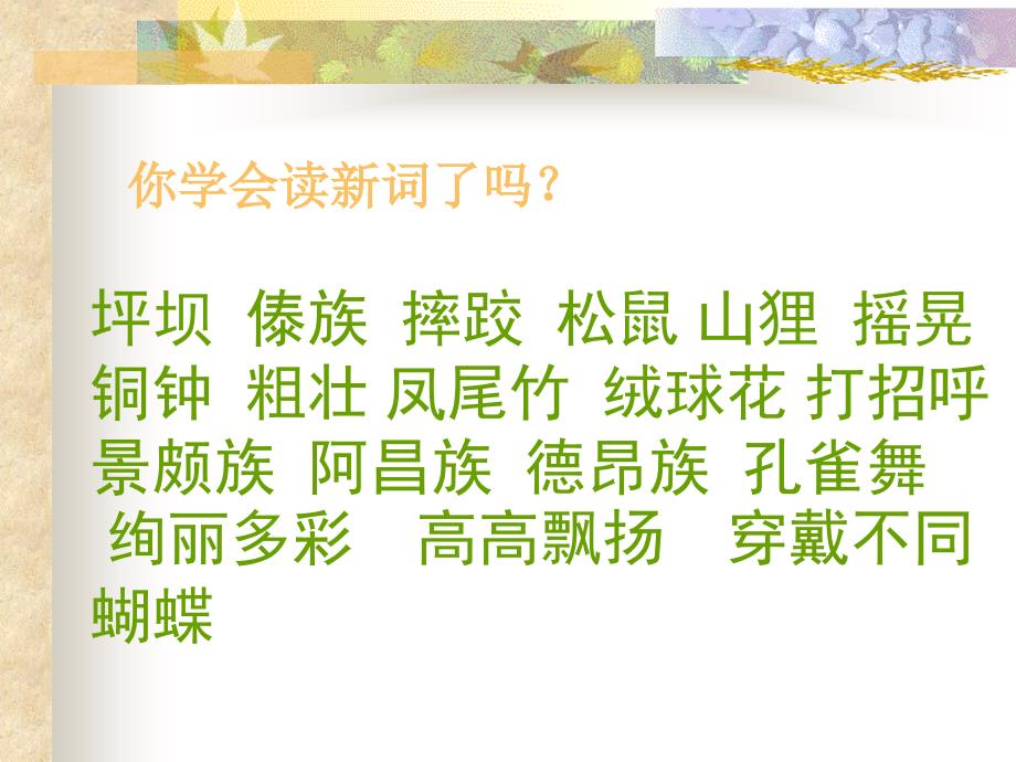 我们的民族小学课件3_第2页