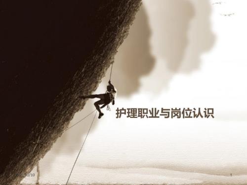 護理職業(yè)與崗位認識