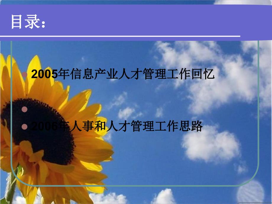 某年度信息产业人才管理工作思路_第2页