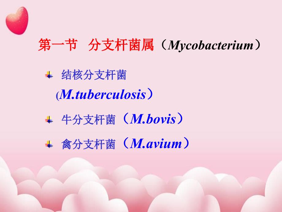 执业兽医资格考试微生物学分支杆菌属及相似属_第2页