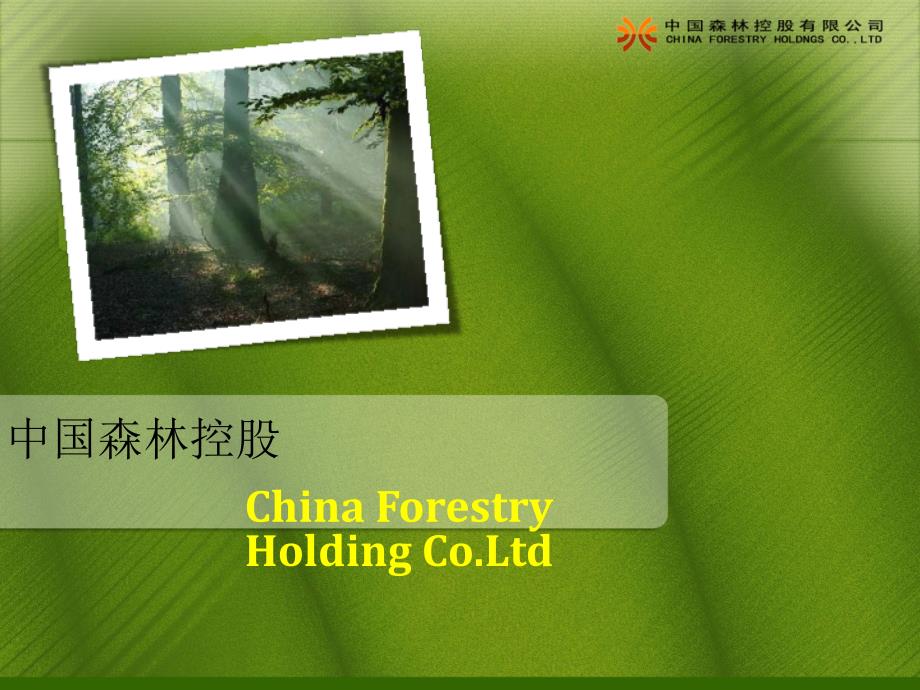 中国森林业务范畴重庆酉阳_第1页