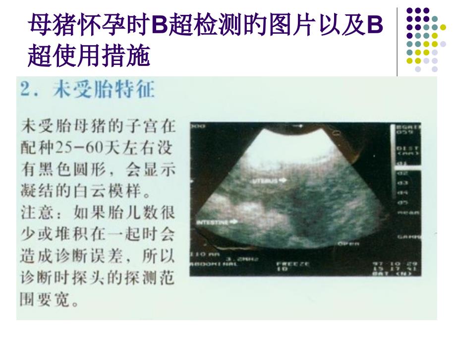 母猪怀孕时B超检测的图片_第1页