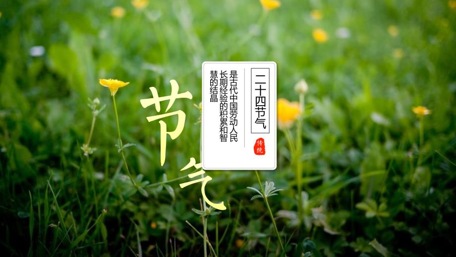 绿色二十四节气介绍经典高端课件模板_第1页